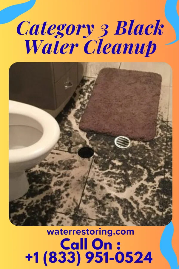 Category 3 Black Water Cleanup in Scotch Meadows, NC