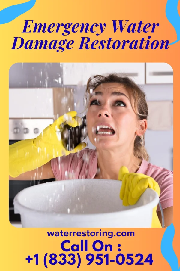 Emergency Water Damage Restoration in Scotch Meadows, NC