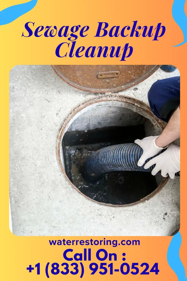 Sewage Backup Cleanup in Scotch Meadows, NC